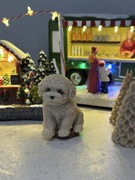 Świeca Sojowa - Świeczka pies / Maltańczyk / Pudel piesek / prezent 