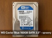 Dysk twardy WD Caviar Blue 160GB SATA II 3.5” WD1600AAJS – sprawny