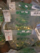 2 gr grosz 2024 r worek parciak 65 woreczków po 100 sztuk w każdym