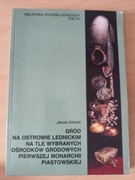 Gród na Ostrowie Lednickim na tle wybranych ośrodków... + Gratis