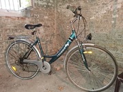 Rower damka firmy Longwa