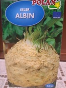 Seler korzeniowy 'Albin'