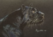 Rysunek "Bagheera"