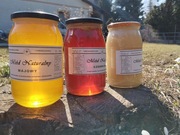 Miód z Roztocza 1,2kg Wielokwiatowy Pasieka GardenQueen Zamość 