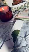 Bookmarks zakładka do książki suszony liść natura