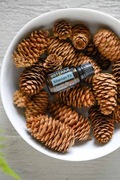 Olejek eteryczny SIBERIAN FIR jodła syberyjska doTERRA 15ml