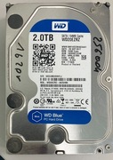 WD Blue 3,5" 2TB SATA 64MB WD20EZRZ polecam