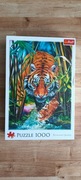 Puzzle Trefl 1000 elementów Drapieżny Tygrys Nowe Kompletne Otwarte