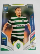 Panini Fifa 365 2026 core Pedro GONCALVES SPO14 Sporting Lisbona 