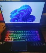 Predator Triton 500, intel i7 10750h, rtx 2070Super 8gb, G-SYNC