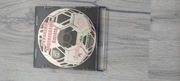 Piłkarskie Mistrzostwa Świata Korea-Japonia 2002