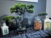 Drzewko Bonsai bon-sai Artystyczne, Drzewko Japońskie Premium, Sztuczne 