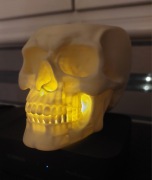 CZASZKA POJEMNIK NA DŁUGOPISY LAMPKA LED