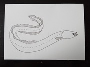 Kartka z życzeniami dla wędkarza, ryba - węgorz.