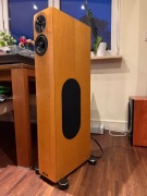 Audio Physic Virgo 3