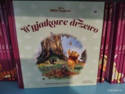 Kompletna Kolekcja 100 Tomów – Disney Kubuś i Przyjaciele (Hachette)