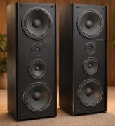 Kolumny Tonsil Scherzo 350 Stan wzorowy. Oryginalne