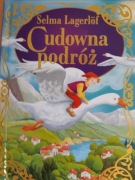 Cudowna podróż - twarda okładka