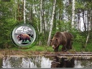 Ukraina 5 UAH - Niedźwiedź -2022 Blistr