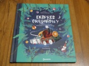 Ekspres grudniowy