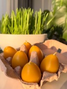 Świece z wosku pszczelego - świąteczne wielkanocne jajka 6szt