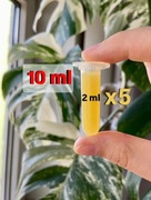 10 ml! Pasta do klonowania Keiki cytokininowa hormon wzrostu dla roślin