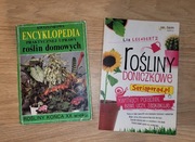 Rośliny Doniczkowe Encyklopedia Roślin Domowych 