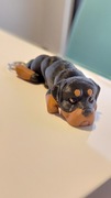 Brelok do kluczy Rottweiler wydruk 3d