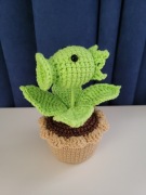 Roślina z gry Plants vs Zombies