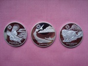 Białoruś 1 rubel PROF x 3 Rezerwaty Przyrody sowa norka n. nakład