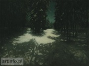 piękny duży obraz nokturn las w nocy, rozstaje dróg, wciągający okazja