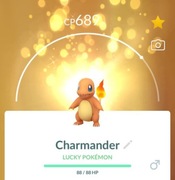 Pokemon GO TRADE : 20x Charmander | 100% Lucky Trade