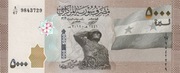 Syria 5000 funtów syryjskich 2019 P.118 UNC