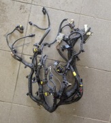 2021 Jeep compass Wiązka silnika 46350390 46337540