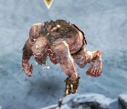 Sprzedam Gold Veskara
