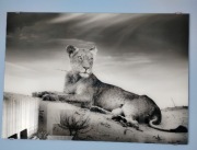 Obraz szklany 100x70