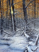 Obraz akryl zima realizm las śnieg wieczór drzewa przyroda biel pejzaż 