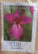 Znaczek pocztowy Niemcy Wild Gladiole mieczyk gladiola