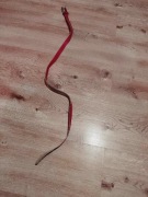 Piękny czerwony pasek.