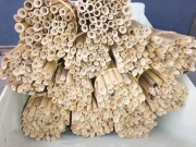 rurki z trzciny dla murarki ogrodowej