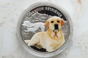 Srebrna moneta "Labrador Retriever" 