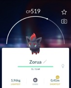 Pokemon go Zorua