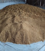 Witam serdecznie sprzedam owies 