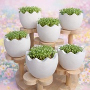 Osłonki dekoracyjne. Wielkanoc