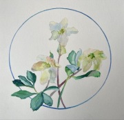 Obraz akwarela kwiaty 