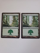 Forest (306) Mirrodin MTG land