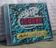 Iguana Collection - Ambient Kleczyński Silverstate Techno Party