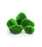 Kamienie Pokryte Mchem - biOrb - 46084 