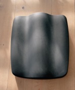 Ab coaster cs3000 poduszka siedziska