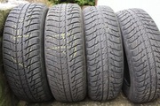 Nokian Tyres WR SUV 3 225/65R17 106 H 